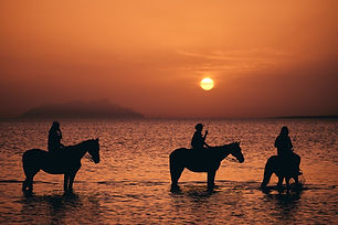 Laguna dello Stagnone a cavallo