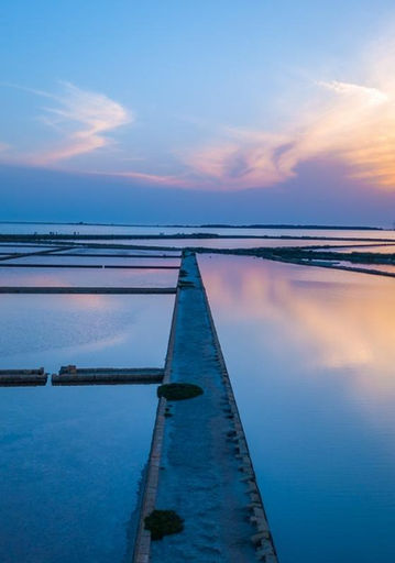 Stagnone lagoon horse sunset