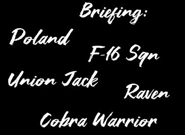 Briefing Cobra Warrior Patchdesign