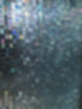 IMG_6551_edited.jpg