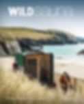 Wild Sauna cover_High res.jpg