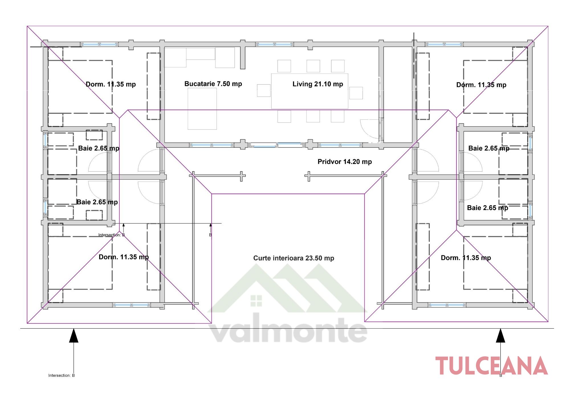 Tulceana — imagine de prezentare 2