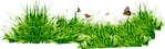 21684.png
