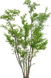 0_87771_4ecfa961_orig.png