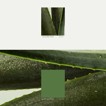 Sadie Skin botanical skincare colour palette and natural texture exploration