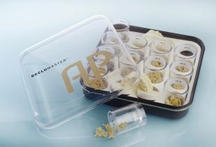 AP Anterior Master kits | AP Dental