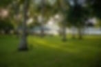 RAD01264.jpg