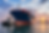 e77adf86-7322-4b96-9891-24833424d743.png