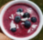 Blueberry Freeze