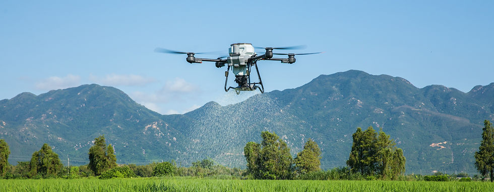 DJI Agras T25P spraying