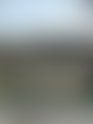 Se encuentra un parentezco con las mezquitas a través de la cúpula