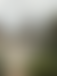 Se encuentra un parentezco con las mezquitas a través de la cúpula