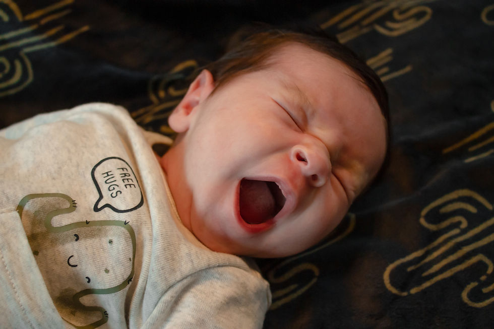 Jaxon 1 Month