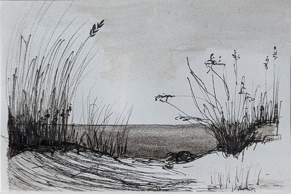 Miniaturbild: Ostseedüne | 15 x 10 cm