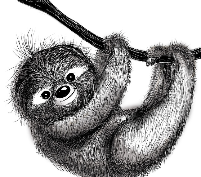 Niedliches Faultier am Ast hängend, sehr fusselig gezeichnet.