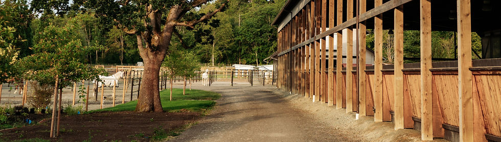 Equestris Proofs-598_edited.jpg