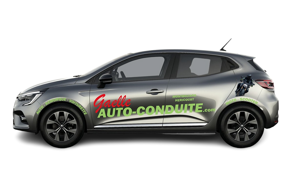 Code en ligne gaelle auto conduite