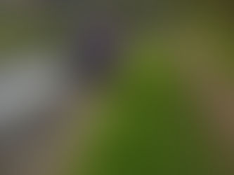 Stunning Easter Walk to Explore This Spring"