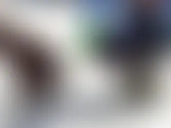 Bloody Diarrhoea In Dogs (And How To Fix It)