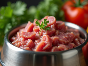 Smooth Transition to Raw Dog Food: Raw Dog Food Transition Tips