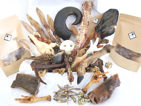 “A Treat for You, Your Shop, and Every Tail That Wags Through Your Door”