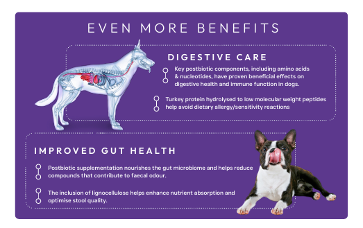 Thumbnail: Peptide+ Digestive Care - Vet Approved