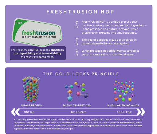 Thumbnail: Peptide+ Digestive Care - Vet Approved
