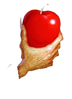 Imagem1.png