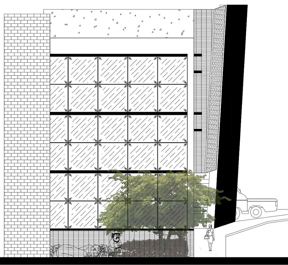 Almond tree front