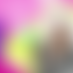 Startup story: Buying a $50,000 domain & the power of your network with Eva Co-Founder, Amanda Niu