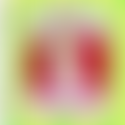 ​​Proof that you can start a multi-million dollar business young, with Prene's founder Tammy Green