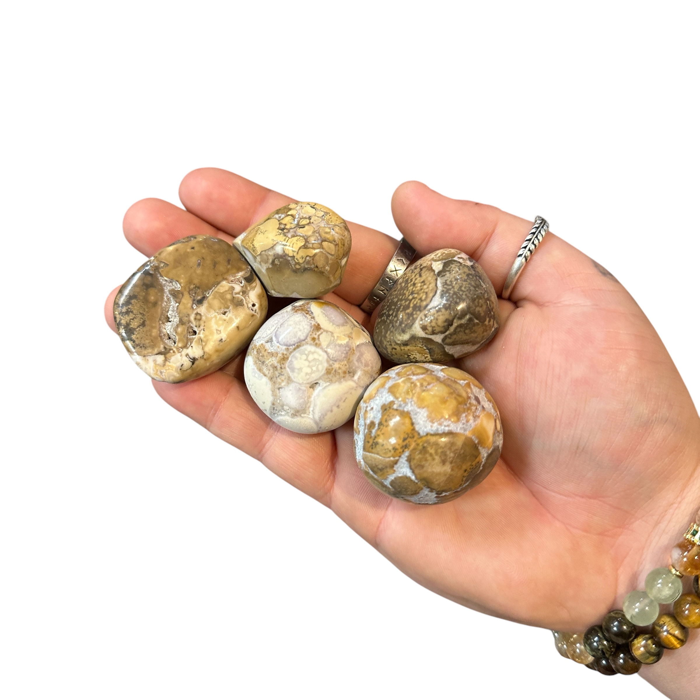 Orbicular Jasper XL Tumble