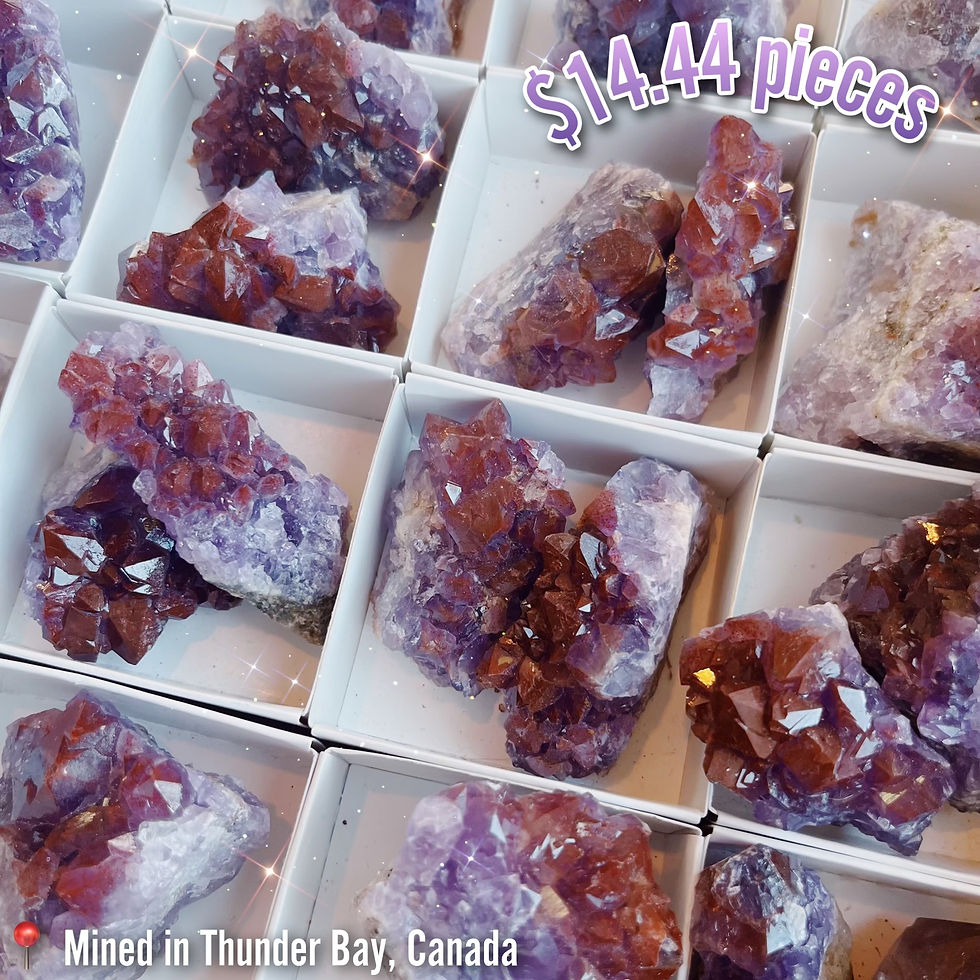 AURALITE 23 LARGE
