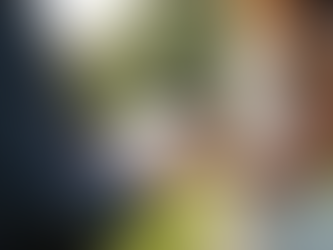 Essential Wedding Officiant Interview Questions