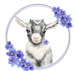 BabyAngelAcresmodifiedLogo_edited.png