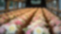 Inicio-Productos-2.jpg