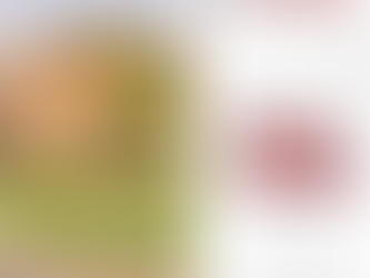 What should you not say to the Appraiser?