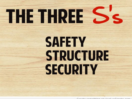 Save Time and Money by Understanding the Three S’s of FHA Inspections