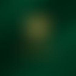 Exceptional Fine Jewelry with Pacific Auction House