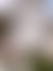 What You Should Know About Excalibur Hotel Las Vegas?