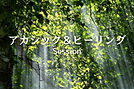 ブルーソファ