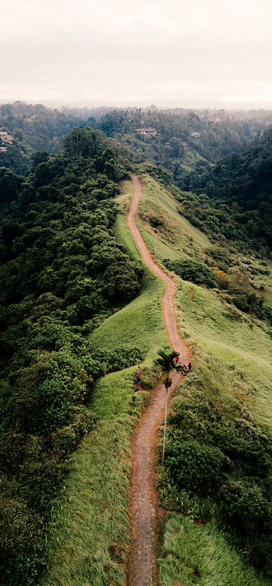 Hillside Walking Trail_edited.jpg