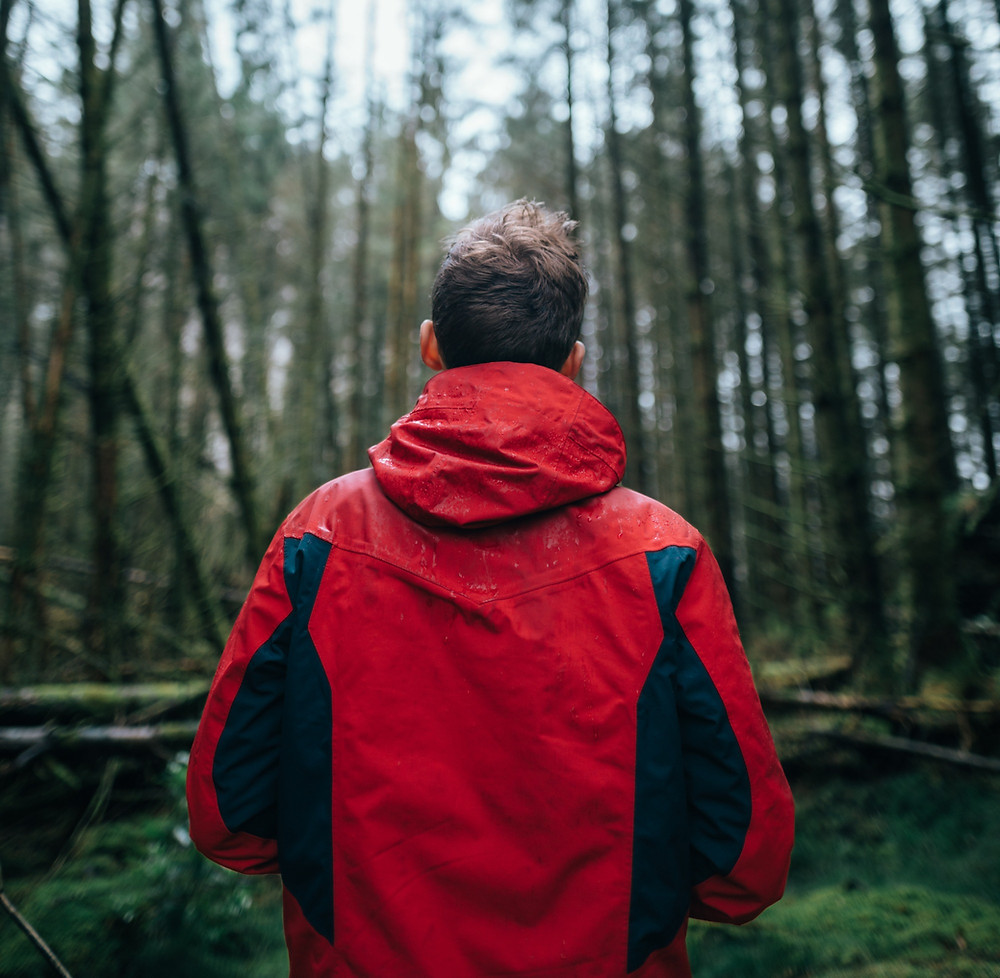 Young male hiker with wet red and black raincoat in a dense, moist, forest in the Pacific Northwest