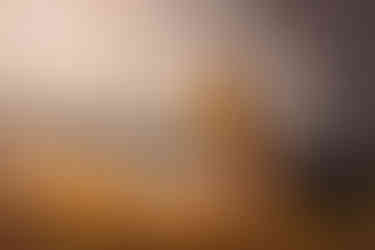 20211107-DSC_2641_web