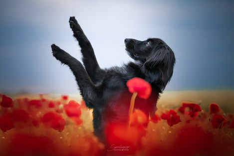 20210605-DSC_9349_web_wz