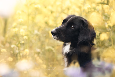 20210605-DSC_9227_web_wz