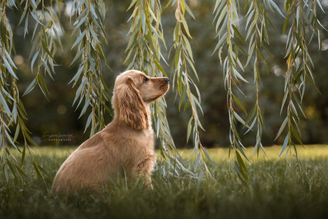 20211001-DSC_9453_web_wz