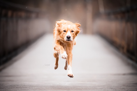 20220123-DSC_8198_web