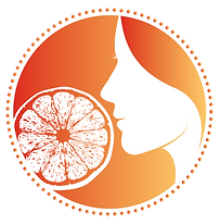 recherche logo.png