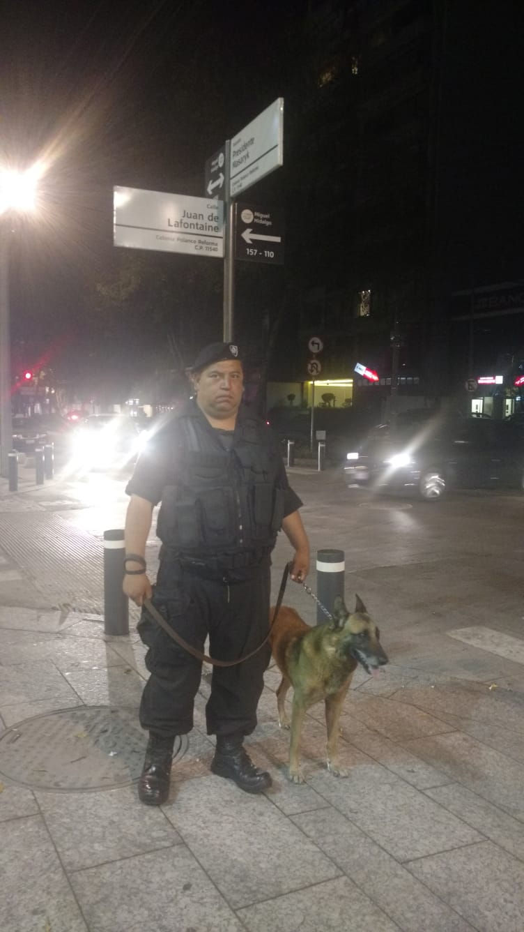 Nikte K9.jpeg